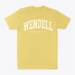 Wendell Massachusetts Urban Vibe Classic Dad T-Shirt