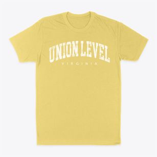 Union Level Virginia Urban Vibe Classic Dad T-Shirt