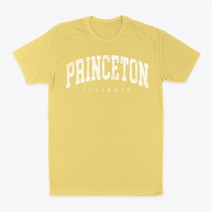 Princeton Illinois Urban Vibe Classic Dad T-Shirt
