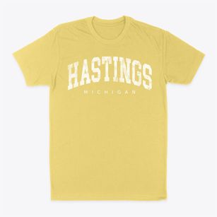 Hastings Michigan Urban Vibe Classic Dad T-Shirt