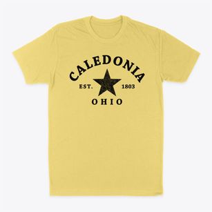 Caledonia Ohio Star Classic Dad T-Shirt