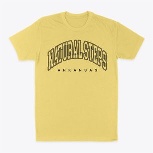 Natural Steps Arkansas Inline Classic Dad T-Shirt