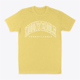Mount Eagle Pennsylvania Inline Classic Dad T-Shirt
