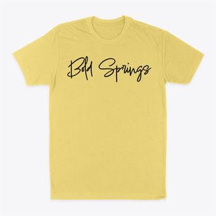 Bold Springs Georgia Freestyle Classic Dad T-Shirt