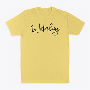 Waterbury Vermont Freestyle Classic Dad T-Shirt