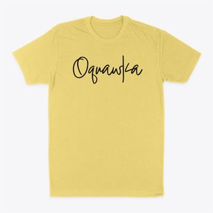 Oquawka Illinois Freestyle Classic Dad T-Shirt