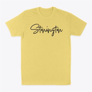 Stonington Illinois Freestyle Classic Dad T-Shirt