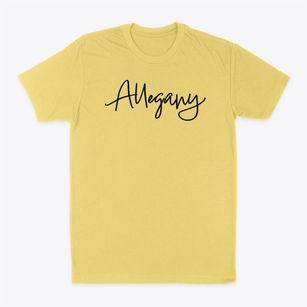 Allegany New York Freestyle Classic Dad T-Shirt