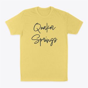 Quaker Springs New York Freestyle Classic Dad T-Shirt