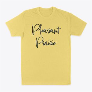 Pleasant Prairie Wisconsin Freestyle Classic Dad T-Shirt