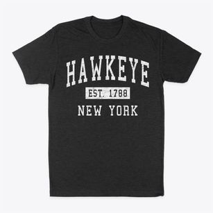Hawkeye New York Classic Established Classic Dad T-Shirt