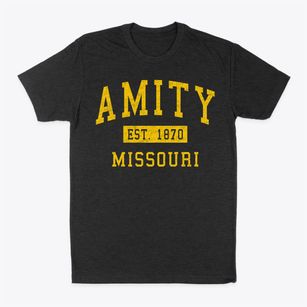 Amity Missouri Classic Established Classic Dad T-Shirt