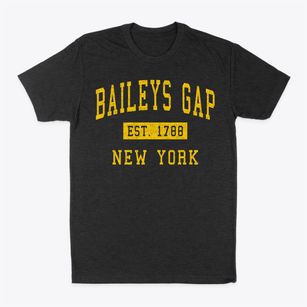 Baileys Gap New York Classic Established Classic Dad T-Shirt