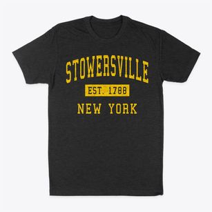 Stowersville New York Classic Established Classic Dad T-Shirt