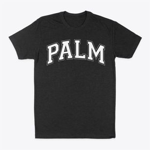 Palm Elementary School Varsity Arch Classic Dad T-Shirt