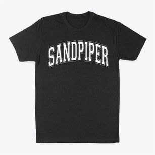 Sandpiper Elementary School Varsity Arch Classic Dad T-Shirt