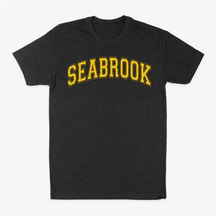 Seabrook Intermediate School Varsity Arch Classic Dad T-Shirt
