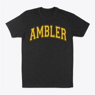 Ambler Elementary School Varsity Arch Classic Dad T-Shirt