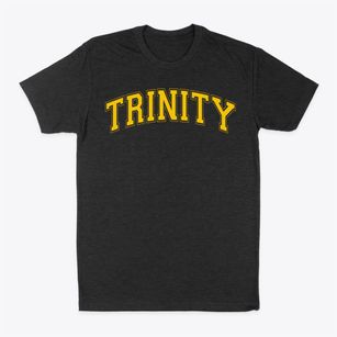 Trinity Christian School Varsity Arch Classic Dad T-Shirt