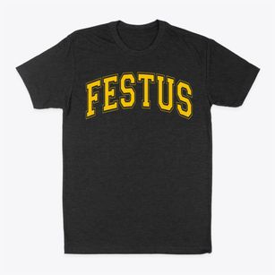 Festus Elementary School Varsity Arch Classic Dad T-Shirt