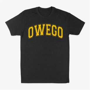 Owego Elementary School Varsity Arch Classic Dad T-Shirt