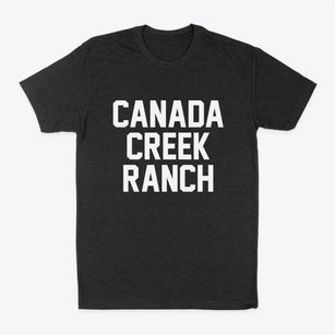 Canada Creek Ranch Michigan Classic Block Classic Dad T-Shirt