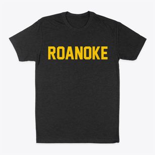 Roanoke Virginia Classic Block Classic Dad T-Shirt