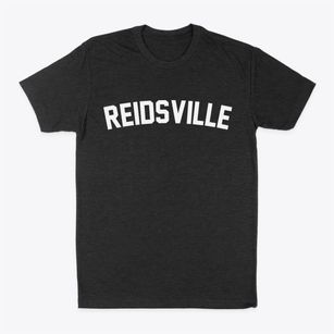 Reidsville Georgia Classic Curve Classic Dad T-Shirt