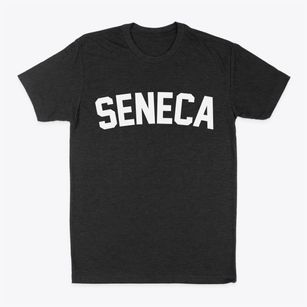 Seneca Kansas Classic Curve Classic Dad T-Shirt