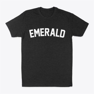 Emerald Wisconsin Classic Curve Classic Dad T-Shirt