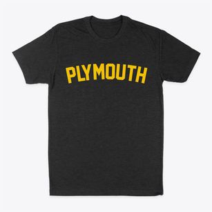 Plymouth New York Classic Curve Classic Dad T-Shirt