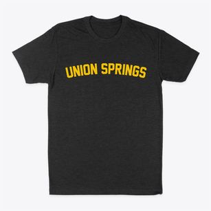 Union Springs New York Classic Curve Classic Dad T-Shirt