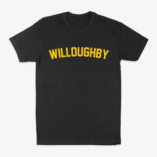 Willoughby Ohio Classic Curve Classic Dad T-Shirt