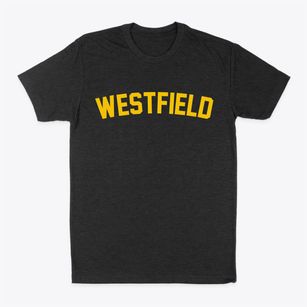 Westfield Illinois Classic Curve Classic Dad T-Shirt