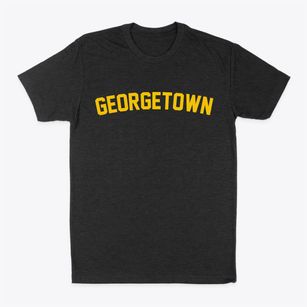Georgetown Maryland Classic Curve Classic Dad T-Shirt