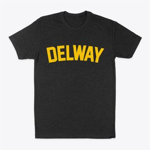 Delway North Carolina Classic Curve Classic Dad T-Shirt