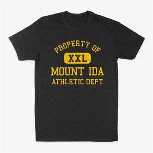 Mount Ida Arkansas Athletic Dept Classic Dad T-Shirt