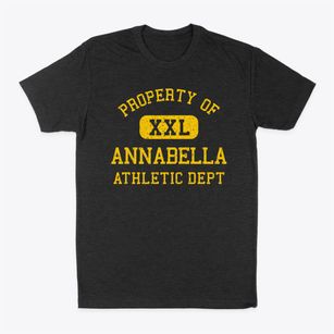 Annabella Utah Athletic Dept Classic Dad T-Shirt