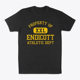Endicott New York Athletic Dept Classic Dad T-Shirt