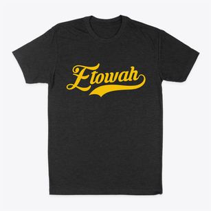 Etowah Arkansas Vintage Team Classic Dad T-Shirt