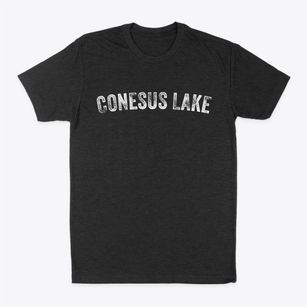 Conesus Lake New York Timeless Retro Classic Dad T-Shirt