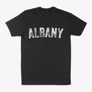Albany Vermont Timeless Retro Classic Dad T-Shirt