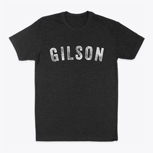 Gilson Illinois Timeless Retro Classic Dad T-Shirt