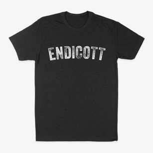 Endicott New York Timeless Retro Classic Dad T-Shirt