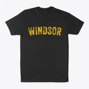 Windsor Missouri Timeless Retro Classic Dad T-Shirt