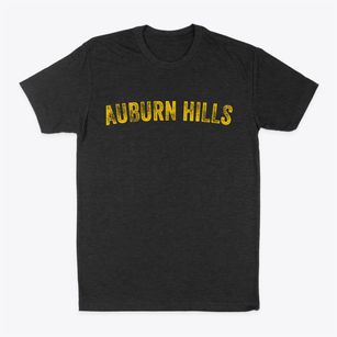 Auburn Hills Michigan Timeless Retro Classic Dad T-Shirt