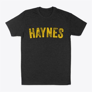 Haynes North Dakota Timeless Retro Classic Dad T-Shirt