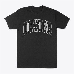 Dexter Michigan Trendy Block Classic Dad T-Shirt