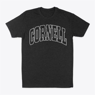 Cornell Wisconsin Trendy Block Classic Dad T-Shirt