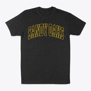 Sandy Oaks Texas Trendy Block Classic Dad T-Shirt